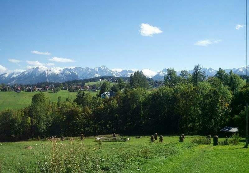 Villa Agrotatry U Stachy à Bukowina Tatrzańska Extérieur photo