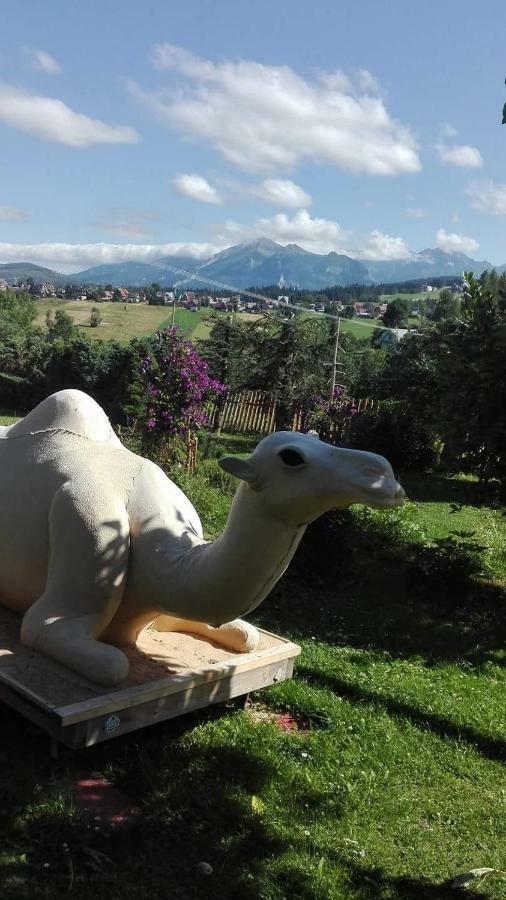 Villa Agrotatry U Stachy à Bukowina Tatrzańska Extérieur photo