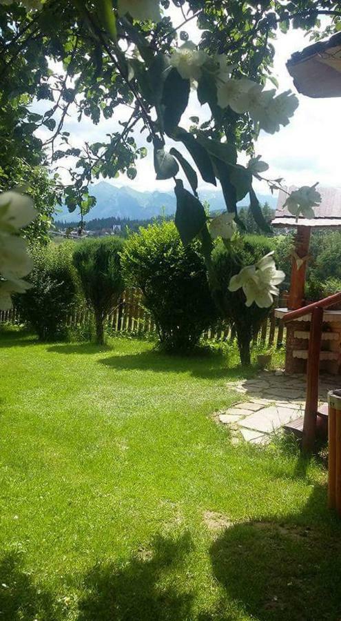 Villa Agrotatry U Stachy à Bukowina Tatrzańska Extérieur photo