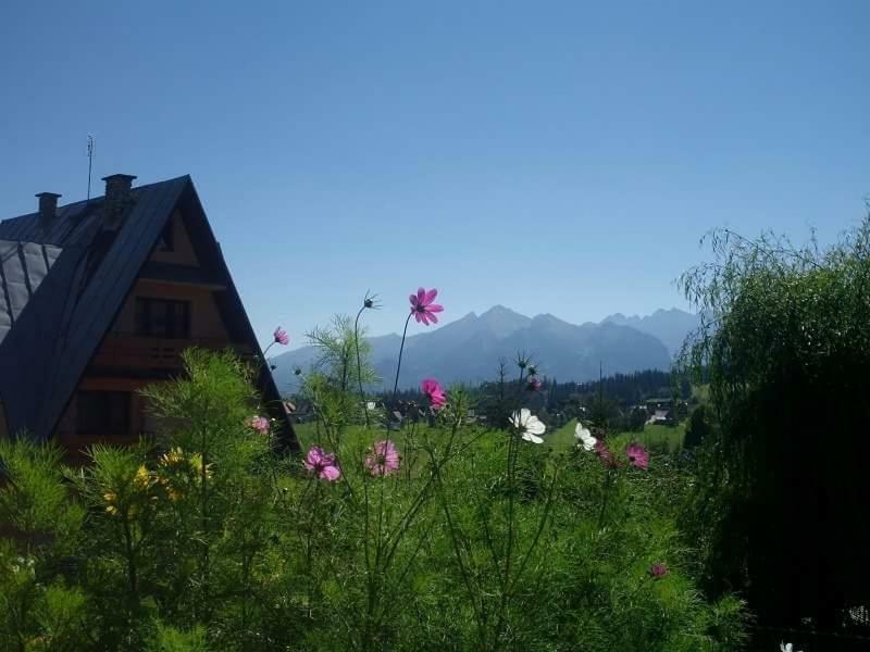 Villa Agrotatry U Stachy à Bukowina Tatrzańska Extérieur photo