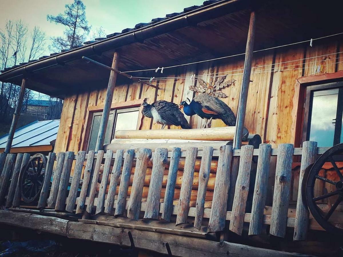 Villa Agrotatry U Stachy à Bukowina Tatrzańska Extérieur photo